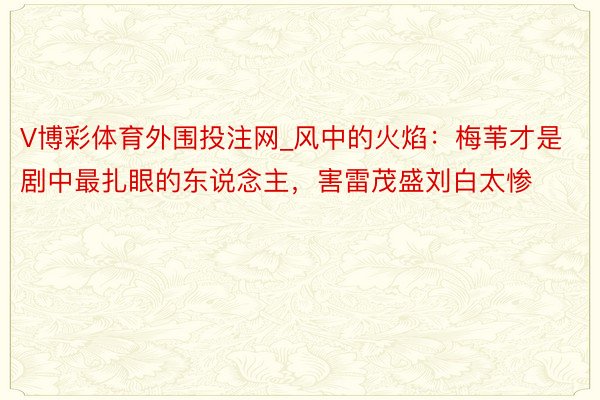 V博彩体育外围投注网_风中的火焰：梅苇才是剧中最扎眼的东说念主，害雷茂盛刘白太惨